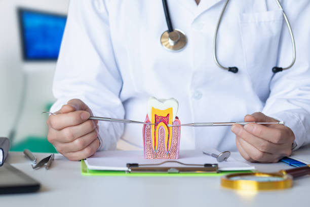 Best Emergency Wisdom Tooth Extraction in Glencoe, FL